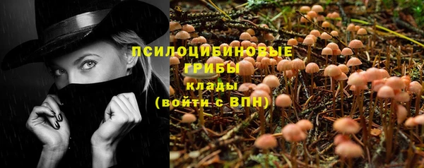 spice Армянск
