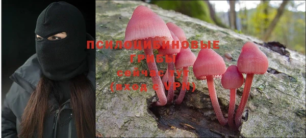 spice Армянск