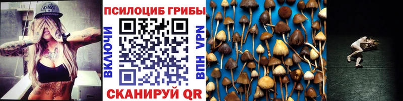 Псилоцибиновые грибы мухоморы  как найти наркотики  Похвистнево 